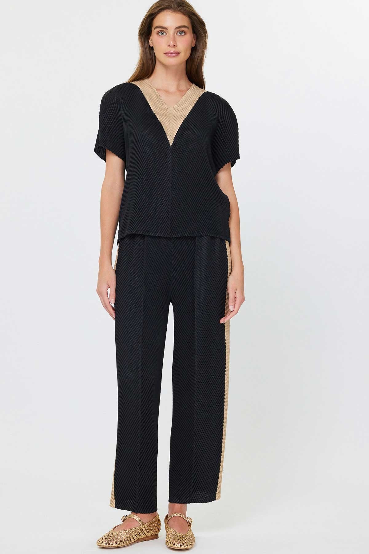 NYLAND Magdalena Pleated Tapered Pants W/side Panels