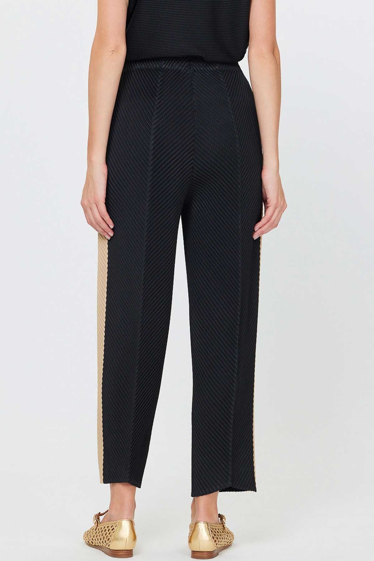 NYLAND Magdalena Pleated Tapered Pants W/side Panels