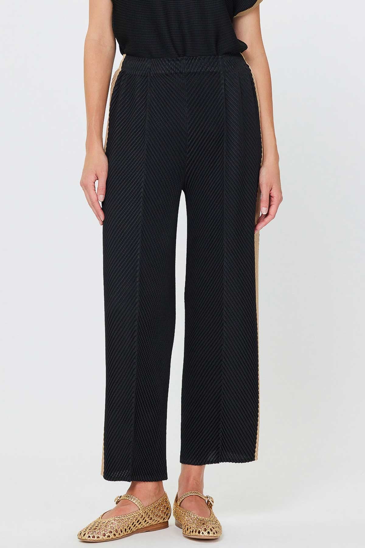 NYLAND Magdalena Pleated Tapered Pants W/side Panels