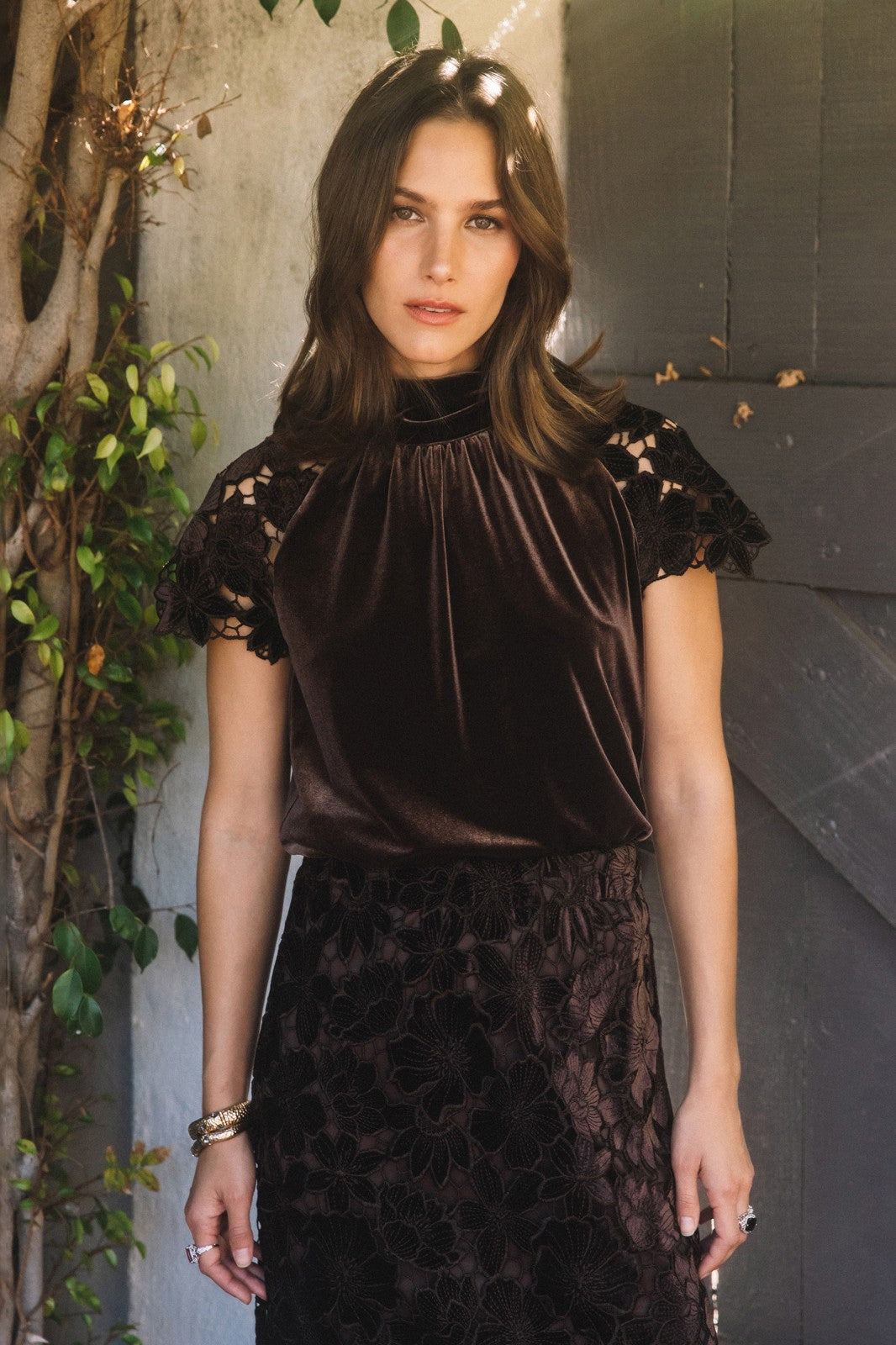 NYLAND Kaelie Velvet Lace Short Sleeve Top Brown