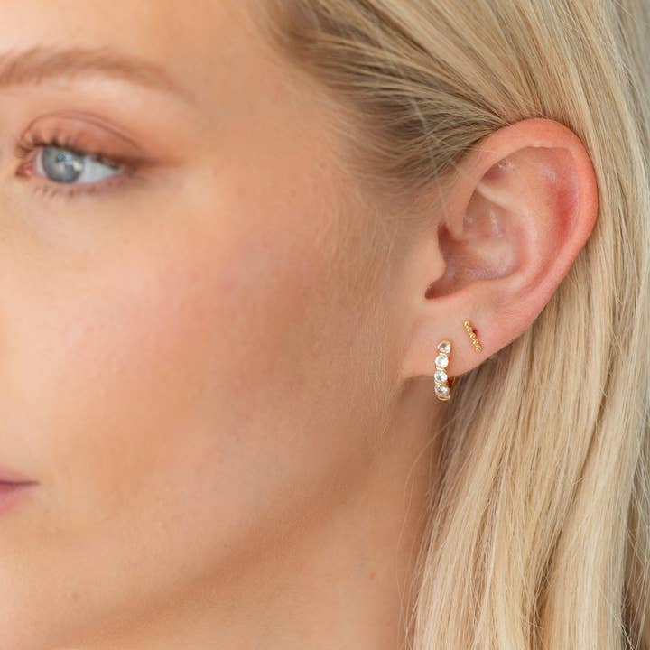 Splendid Iris Studs On Velvet