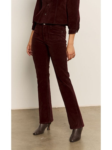 Sanctuary Velveteen Brook Bootcut
