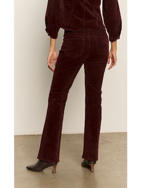 Sanctuary Velveteen Brook Bootcut