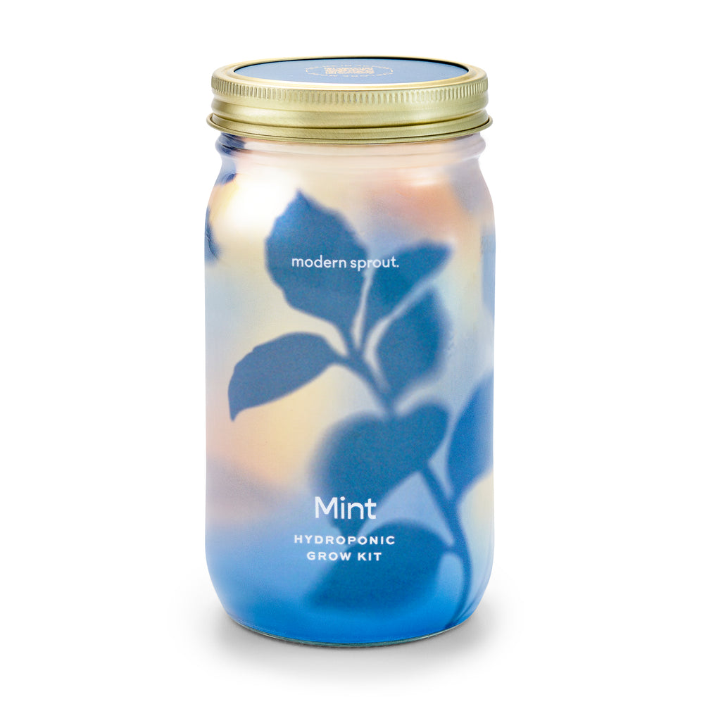 Modern Sprout Garden Jar Mint