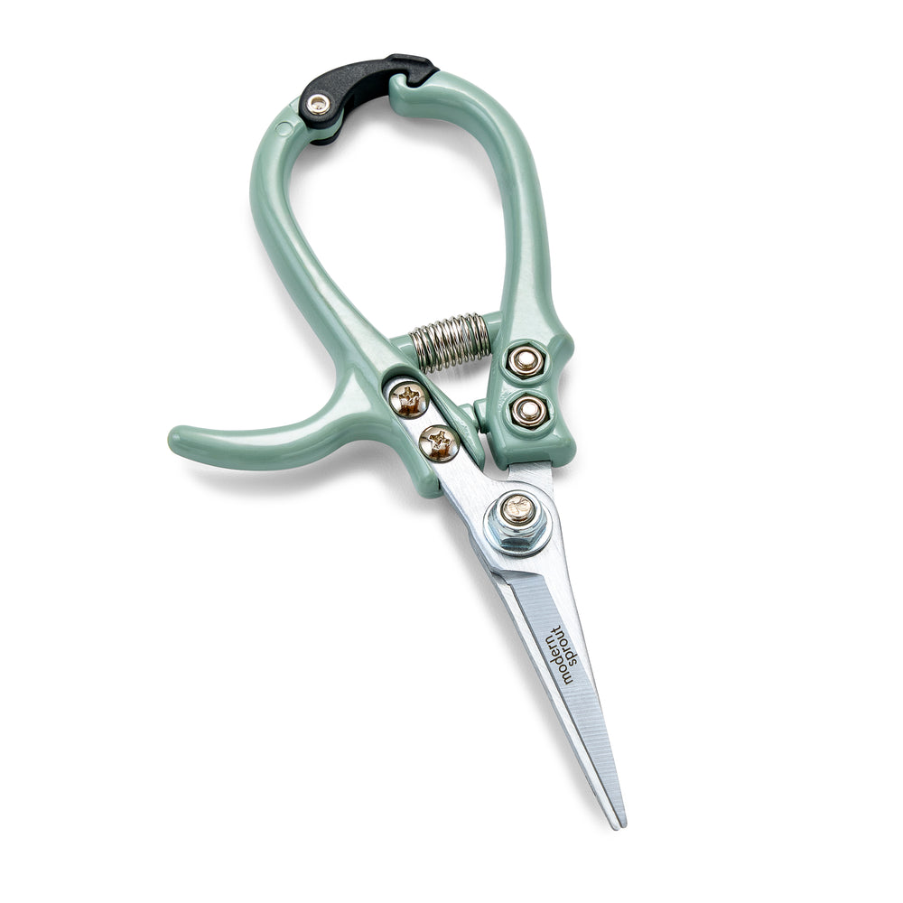 Modern Sprout Shears in Sage