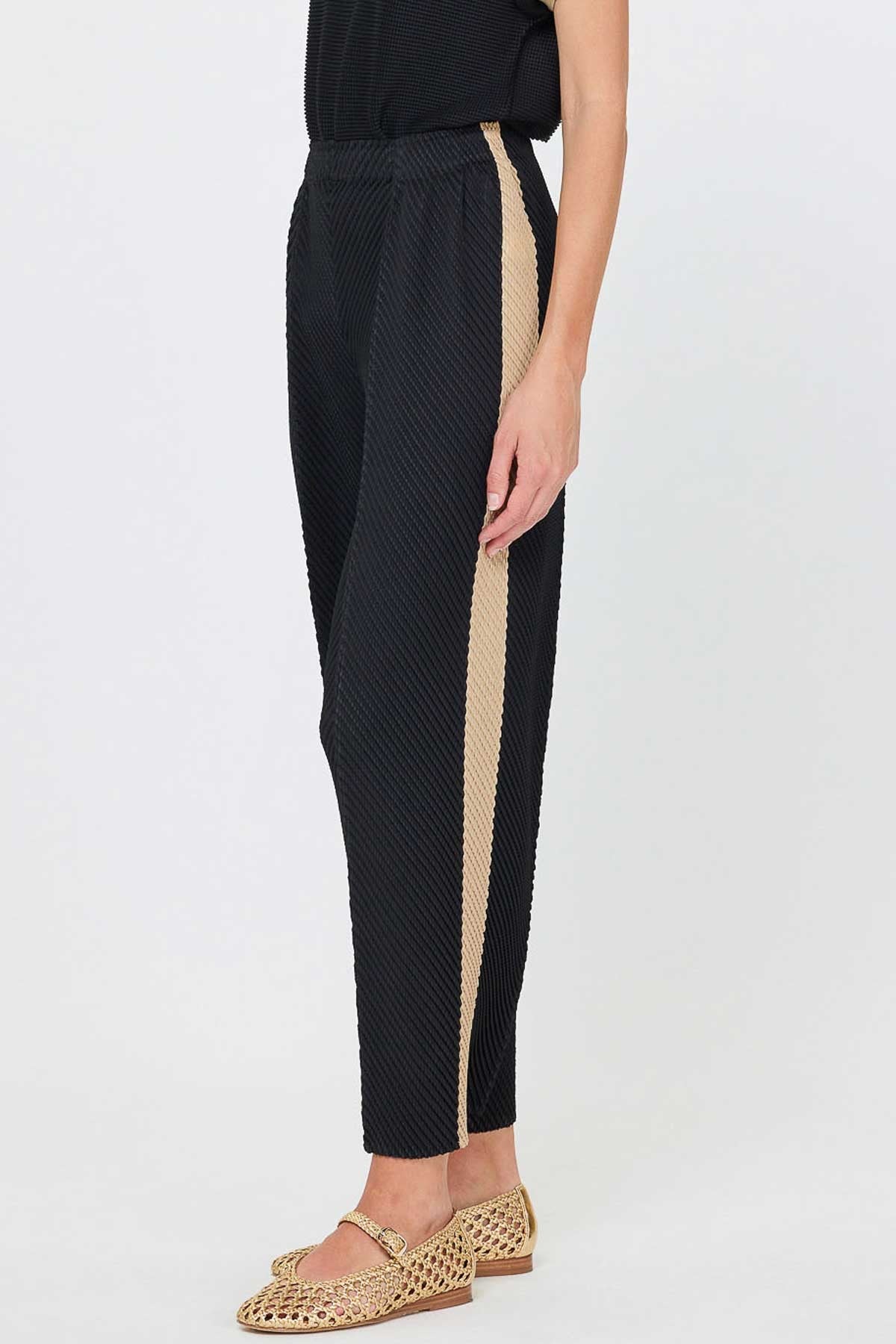 NYLAND Magdalena Pleated Tapered Pants W/side Panels