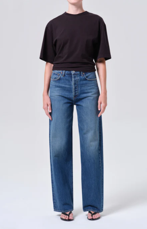 AGOLDE Ren High Rise Wide Leg in Chapter