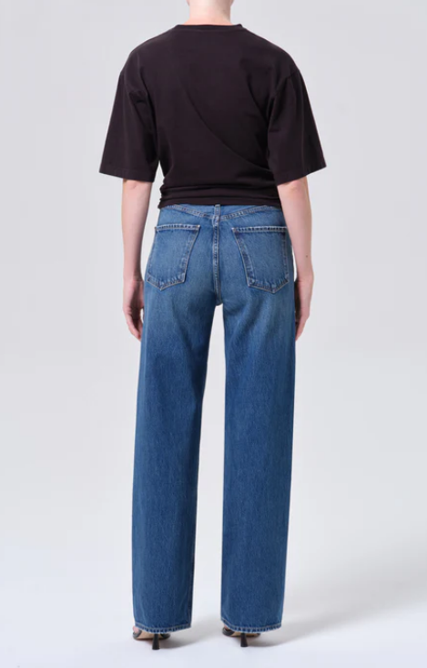 AGOLDE Ren High Rise Wide Leg in Chapter