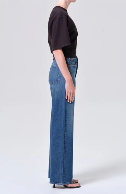 AGOLDE Ren High Rise Wide Leg in Chapter