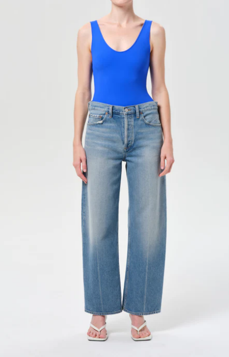 AGOLDE Arc Jean 29 in Brink
