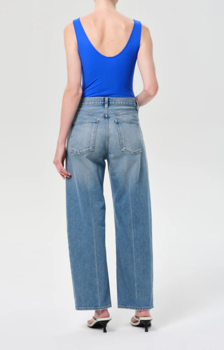 AGOLDE Arc Jean 29 in Brink