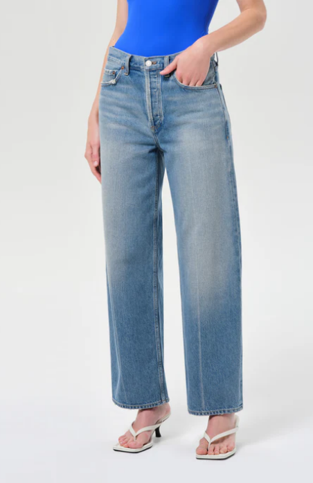 AGOLDE Arc Jean 29 in Brink