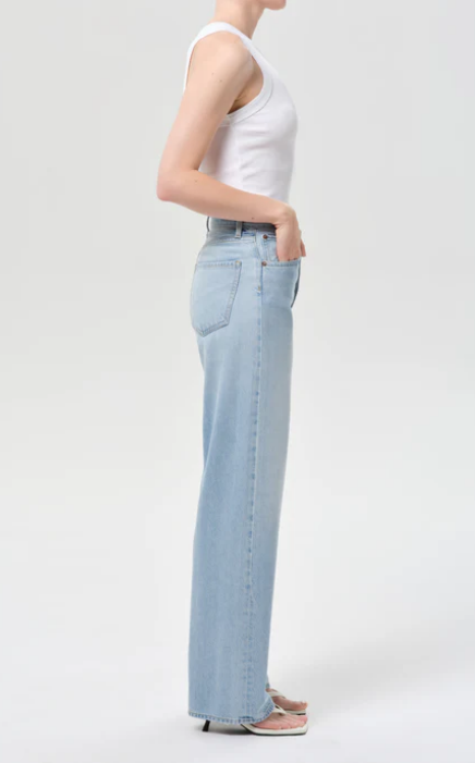 AGOLDE Ren High Rise Wide Leg 29 in Memory