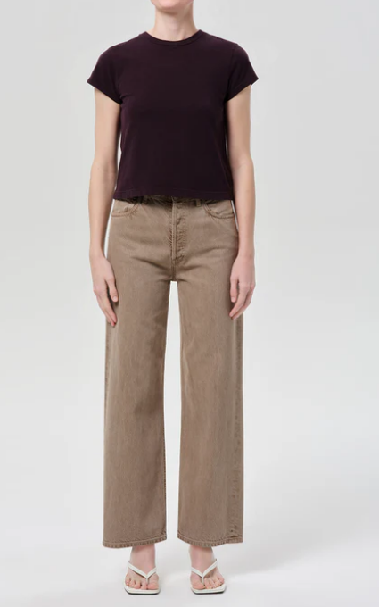 AGOLDE Ren High Rise Wide Leg in Trail