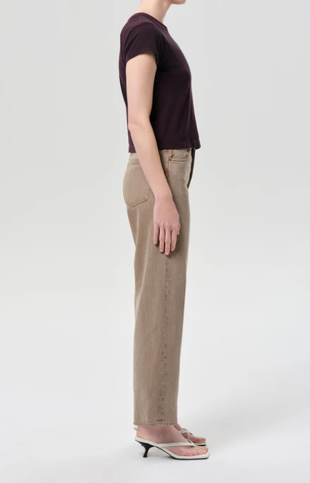 AGOLDE Ren High Rise Wide Leg in Trail
