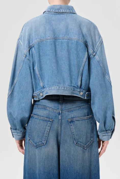 AGOLDE Palmer Jacket