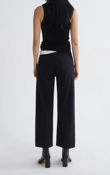 AGOLDE Ren High Rise Wide Leg in Obscura