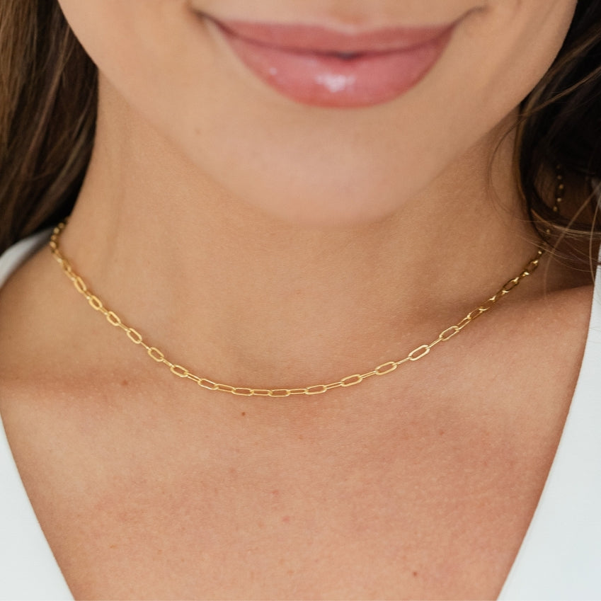 Splendid Iris Delicate Link Chain Necklace - 15"
