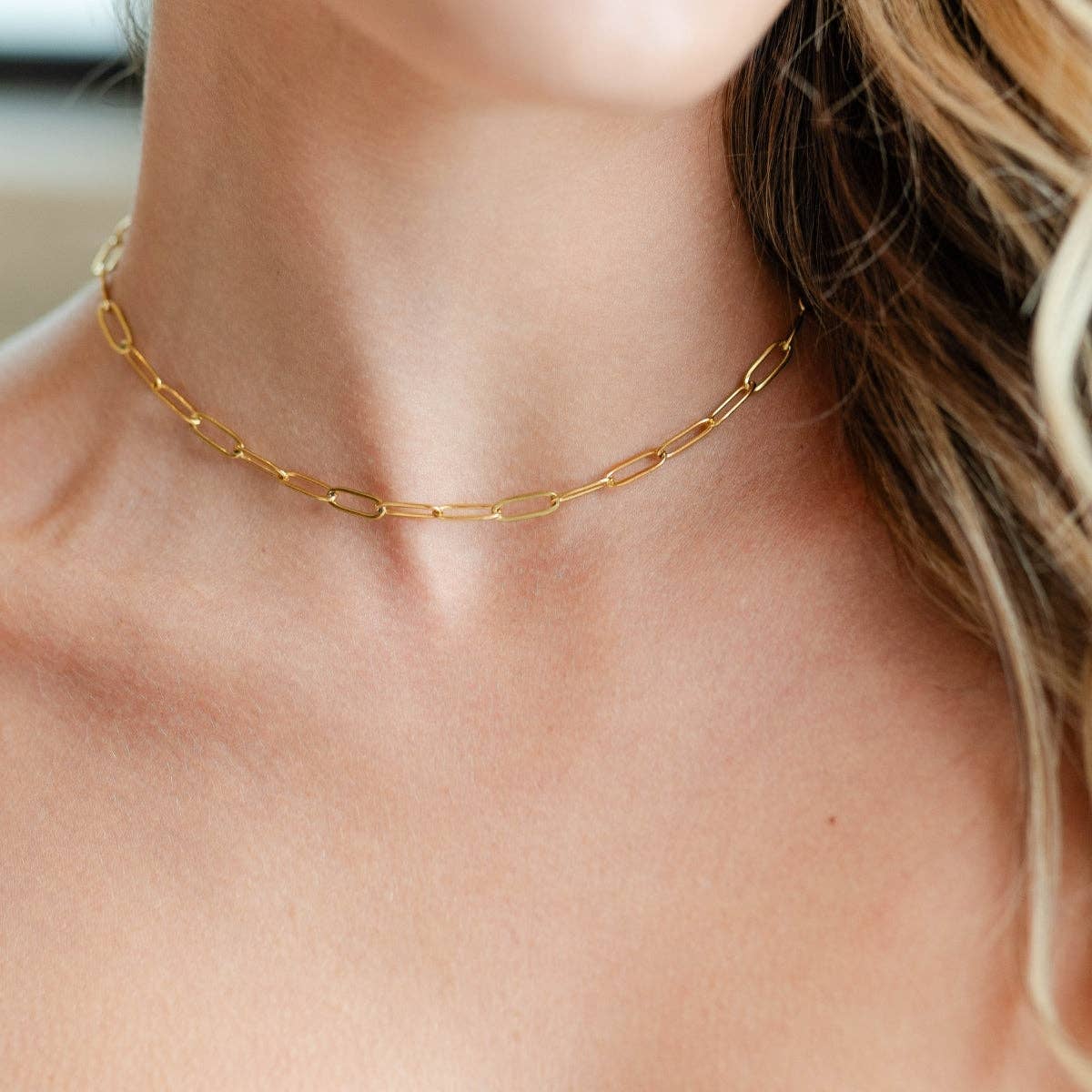 Splendid Iris Chic Paperclip Collar Necklace