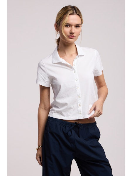 Velvet by Graham & Spencer Arlene Top