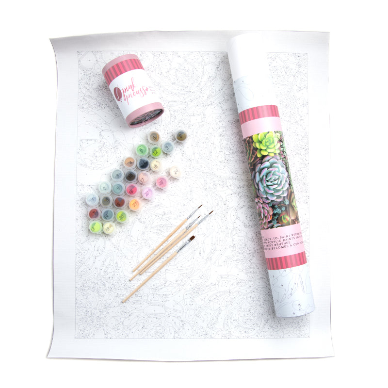 Pink Picasso Kits Paint By Number Kits 2 Assorted