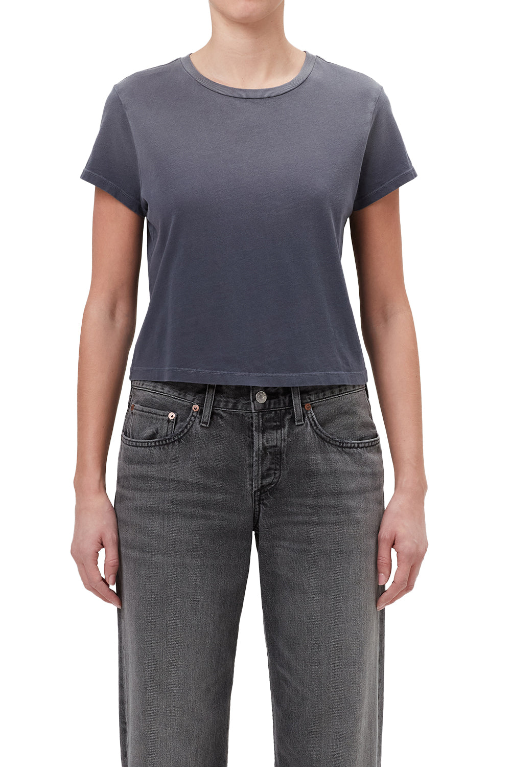 AGOLDE Adine Shrunken Tee in Windstorm