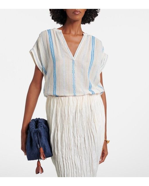 Velvet by Graham &amp; Spencer Tallula Top