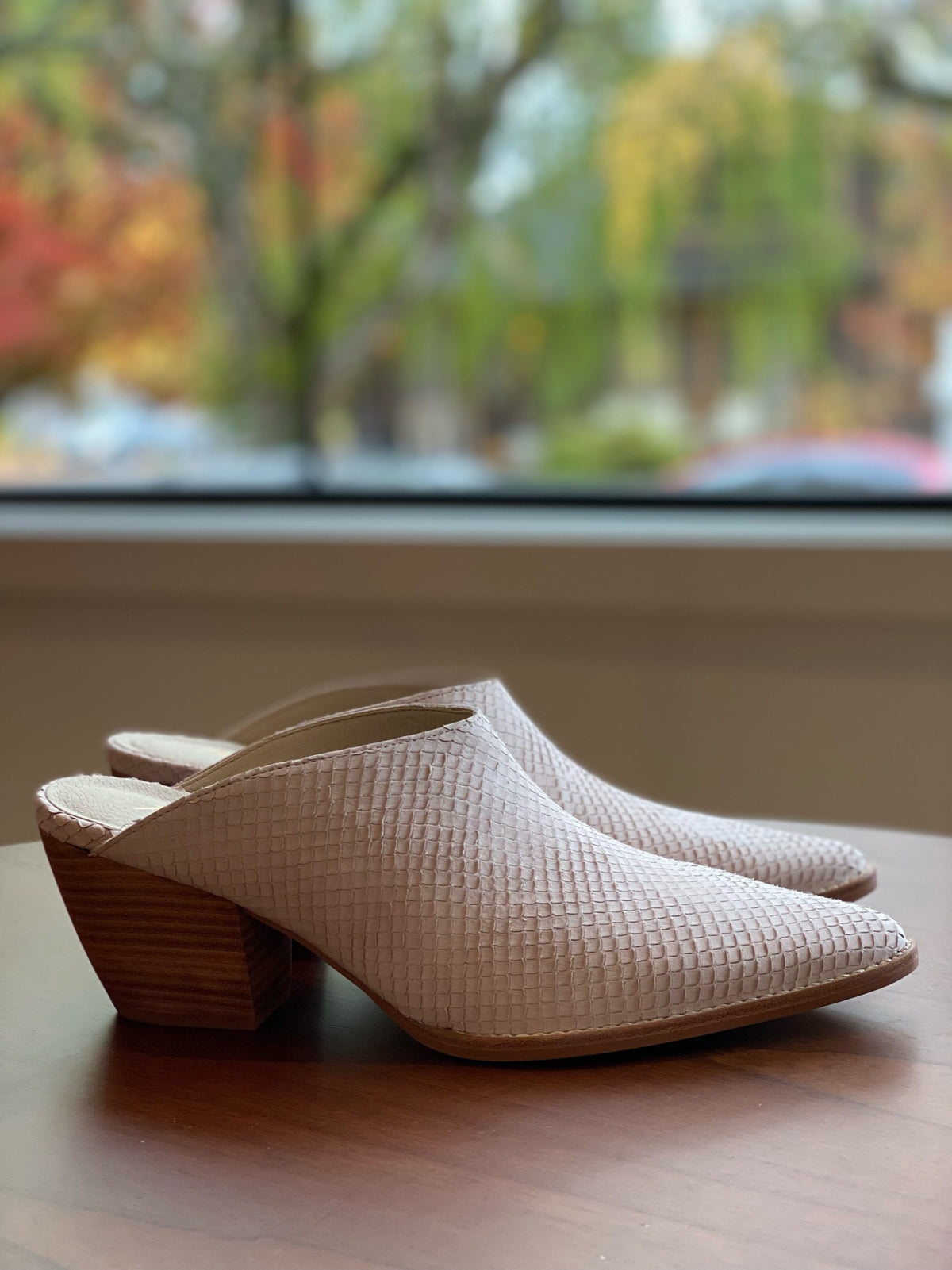 Matisse Cammy Pointed Toe Mule