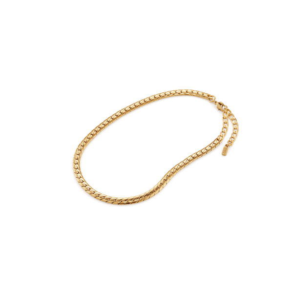 Jenny Bird Priya Anklet - Adorn