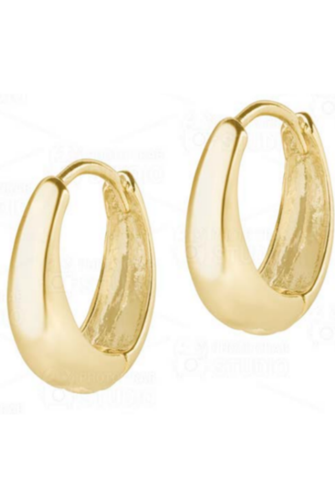 Electric Picks Mary Kate Earrings