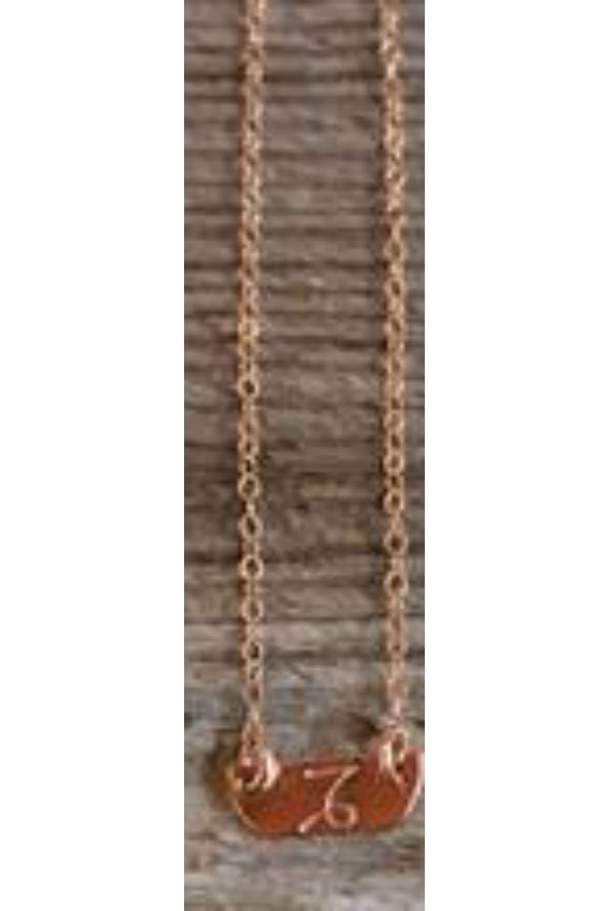 Kenda Kist Tiny Zodiac Plate Necklace Capricorn